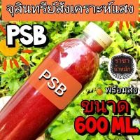 ราคา น้ำหมัก จุลินทรีย์สังเคราะห์แสง/น้ำหมักผลไม้/น้ำหมักมูลวัว ขนาด600 ml (23386443090)