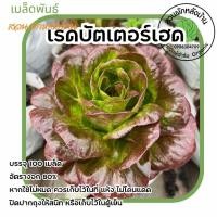 ราคา สลัดบัตเตอร์เฮด Pandora (29379333923)