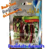 ราคา เมล็ดถั่วพู สีม่วง เมล็ดพันธุ์ผักเจียไต๋ ซอง15 บาท ถั่วพู ถั่วพูสีม่วง ถั่วพูม่วง (6918176380)