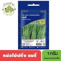 ราคา เจียไต๋ (Easy) เมล็ดพันธุ์ หน่อไม้ฝรั่งแมรี่ ขนาด1กรัม ประมาณ50เมล็ด Asparagus หน่อไม้ฝรั่ง เมล็ดพันธุ์พืช เมล็ดผัก ปลูก (5838127110)