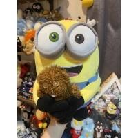 ราคา Minion บ๊อบอุ้มหมีทิม (21712497294)