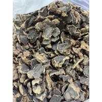 ราคา กระชายดำแห้ง กระชายดำ (43172126881)