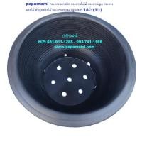 ราคา (6-9ใบ) papamami กระถางชวนชม มีรู - สีดำ 18นิ้ว อ่างชวนชมพลาสติก (7861702614)
