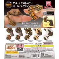 ราคา ของแท้ พร้อมส่ง กาชาปอง สารานุกรม สัตว์เลื้อยคลาน : Finger Maki Collection Armadillo Lizard & Ball Python (22548435486)