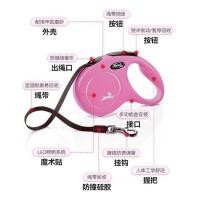 ราคา ❤ Flexiสายจูงสุนัขแบบยืดหดได้ สายจูงลูกสุนัข สายจูง (27308096009)