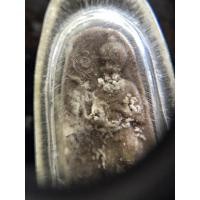 ราคา กุมารทองเทพ (กุมารทิพย์) วัดนิมมานรดี(บางแค) ปี2514 กรุงเทพฯหลวงพ่อเต๋ คงทอง วัดสามง่าม หลวงปู่โต๊ะ วัดประดู่ฉิมพลี เสก (18815289529)