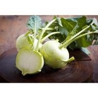 ราคา Kohlrabi กะหล่ำปม : Green / 100 เมล็ด (22635035827)