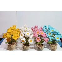 ราคา ดอกไม้กระถาง ดอกกระดิ่ง ดอกลิลลี่ ดอกไหมพรม (28907614763)