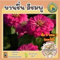 ราคา เมล็ดพันธุ์ดอกบานชื่นซ้อนสีชมพู 20 เมล็ด เมล็ดพันธุ์แท้ โตไว ไม่กลายพันธุ์ ดอกสวย (ซื้อ 5 แถม 1) (15295836909)