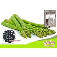ราคา เมล็ดพันธุ์หน่อไม้ฝรั่งหน่อไม้ฝรั่ง (Asparagus) บรรจุ 50 เมล็ด (4443241032)