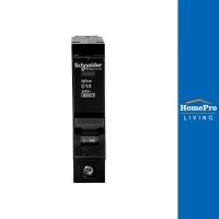 ราคา SCHNEIDER เซอร์กิตเบรกเกอร์ 10 แอมป์ 1โพล 1 เฟส รุ่น VSC 6T จัดส่งโดย HomePro (24719491627)