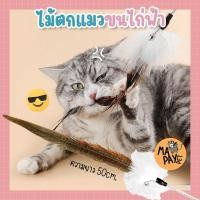 ราคา [พร้อมส่ง] ไม้ตกแมวขนไก่ฟ้า ของเล่นแมว ไม้ล่อแมว ขนนก ไม้ล่อแมวขนนกยาว (20879718575)