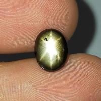 ราคา พลอย แบล็ค สตาร์ แซฟไฟร์ ธรรมชาติ แท้ ( Natural Black Star Sapphire ) หนัก 2.68 กะรัต (20066951921)