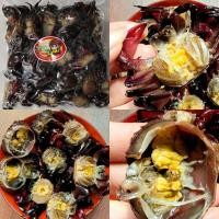 ราคา สินค้าขายดี ปูนาดอง ปูนา ( 500 กรัม) ปูดองเค็ม ตัวล้วนๆไม่มีน้ำ ใส่ส้มตำ ตำปูปลาร้า แซบๆนัวร์ๆ สดใหม่ (15602301257)