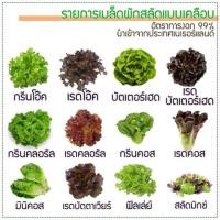 ราคา เมล็ดพันธุ์ผักสลัด ชนิดเคลือบ ขนาด 100 เมล็ด กรีนโอ๊ค เรดโอ๊ค คอส กรีนคอรัส กรีนคอส ฟิลเล่ย์ (872535856)