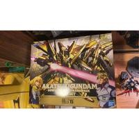 ราคา Akatsuki gundam Bandai 1/100 (18980229627)