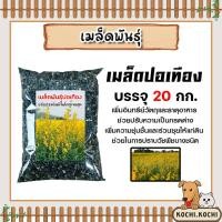 ราคา เมล็ดพันธุ์ปอเทือง บรรจุ 20กิโลกรัม เมล็ดปอเทือง สายพันธ์ปอเทือง พันธุ์ปอเทือง เม็ดพันธุ์ปอเทือง ดอกปอเทือง เม็ดปอเทือง (26165476312)