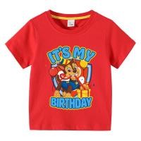 ราคา 【HOT】Paw Patrol Children T-shirt Birthday 3-10 Years Boy Girl Clothing Summer Cartoon Print Tshirt Short Sleeve Cotton T (54858001178)