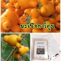 ราคา เมล็ดพันธุ์ มะเขือการ์ตูน 50 เมล็ด มะเขือมิกกี้เม้าส์ มะเขือประดับ มะเขือเต้านมแพะ(ซื้อ 10 แถม 1 คละอย่างได้) (5940322236)