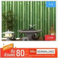 ราคา Wallpaper ติดผนัง เกรด A ลายต้นไผ่ เนื้อ pvc มีกาวในตัว กว้าง 45 cm. ยาว 10 เมตร #308 (2429224744)