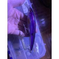 ราคา มือสอง เหยื่อปลั๊กดำตื้น แคสชายฝั่ง ปลาสาก ปลาอินทรี ปลากระมง (17497146324)