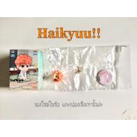 ราคา Haikyuu! Chibi Kyun Chara - Tokyo Ensei e No Michi - Hinata (3818222713)