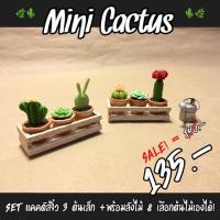 ราคา Set งานปั้นแคคตัสจิ๋ว 3 ต้นเล็ก +พร้อมลังไม้ (315589053)