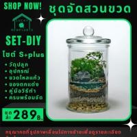 ราคา ชุดจัดสวนขวด DIY Terrarium สวนขวด ไซต์ S+plus 289 บาท (43610847523)