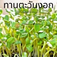ราคา เมล็ดทานตะวันงอก Sunflower Seed 1กก. (43423274269)