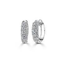ราคา Jubilee Diamond ต่างหูเพชร Sparkle Line Luminance Earrings เพชรแท้ (53656683573)