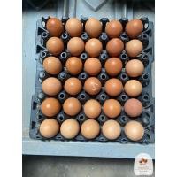 ราคา ไข่ไก่เบอร์ 5 สะอาด ปลอดสารเคมี สด ใหม่ จากฟาร์มวิรัช (23444451072)