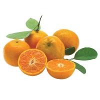 ราคา ส้มสายน้ำผึ้งถุงตาข่าย Sainamphung Orange Pack [หมายเลขบาร์โค้ด 0209200037551 ] สินค้าคุณภาพดี คัดสรรอย่างตั้งใจ (46057711225)