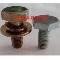 ราคา น็อตยึดจับใบมีดSuzuki , Zenoah G4K G43L G45L/Mitsubishi T200 ตัวผู้เบอร์19 (8705913587)