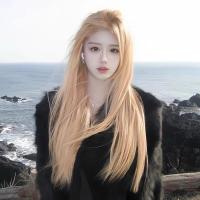 ราคา ♞,♘,♙วิกผมสีบลอนด์สำหรับสาวแสกกลาง หน้าม้า ผมยาวตรง ผมจำลอง ติดเต็มศีรษะ (25869210822)