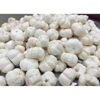 ราคา ขายดี มังคุดอบกรอบ Freeze Dried Mangosteen มังคุดฟรีสดราย (แบบเต็มลูก) มังคุด 100% เกรดพรีเมี่ยม ผลไม้อบแห้ง ผักอบกรอบ (25329700848)