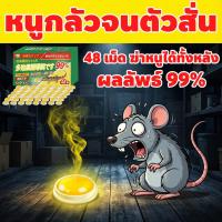 ราคา 48 เม็ด！เหยื่อหนู ยา เบือ หนู ยาฆ่าหนู ยาหนู ยาเบื่อหนู ฆ่าทั้งรังอย่างแรง (47552267407)