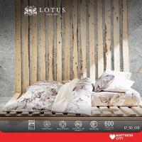 ราคา LOTUS ปลอกผ้านวม ขนาด 70x90 นิ้ว รุ่น Soho รหัส LT-SO-01B (12875621560)