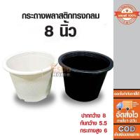 ราคา กระถาง ปลูกต้นไม้ พลาสติก 8นิ้ว ทรงกลม (19125741799)