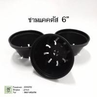 ราคา (หมด) 37 POTS ชามแคคตัส ถ้วยเพาะเมล็ด 6 นิ้ว สีดำ (4974871133)