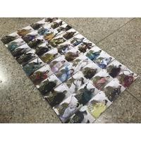 ราคา สยบฟ้าพิชิตปฐพี ครบชุด 1-40 เล่มจบ (6059620837)