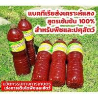 ราคา 1.5 ลิตร แบคทีเรียสังเคราะห์แสง หรือ จุลินทรีย์สังเคราะห์แสง (PhotoSynthetic Bacteria: PSB) (3856312219)