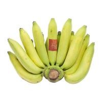 ราคา กล้วยหอม Hom Banana [หมายเลขบาร์โค้ด 0000020975395 ] สินค้าคุณภาพดี คัดสรรอย่างตั้งใจ (47408030162)