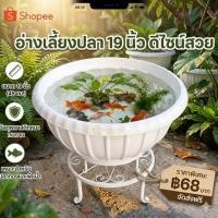 ราคา อ่างเลี้ยงปลา 19 นิ้ว อ่างบัว พลาสติกหนา ทนแดด ใช้เลี้ยงปลา/ปลูกบัว/แต่งสวน (47454228240)