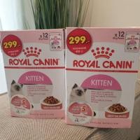 ราคา Royal Canin Kitten in Pouch (Gravy) 24 ซอง (ส่งฟรี) (3779864276)