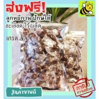 ราคา ลูกหยีกวน ลูกหยีไร้เมล็ด 100 กรัม รสชาติอร่อย หอม เปรี้ยว หวาน ลงตัว ลูกหยีกวนละเอียดไรเมล็ด ส่งฟรี ราคาถูก YG (19987312576)