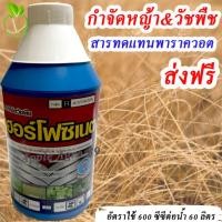 ราคา กลูโฟ ขนาด 1 ลิตร กูโฟซิเนต กลูโฟซิเนต ยาฆ่าหญ้า กลูโฟสิเนต กลูโฟเอ็กซ์ (18590729236)