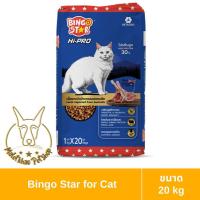 ราคา [MALETKHAO] Bingo Star (บิงโก สตาร์) ขนาด 20 kg Hi-pro อาหารแมวชนิดเม็ด (23987779935)