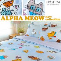 ราคา EXOTICA รุ่น Alpha Meow ชุดผ้าปูที่นอนรัดมุม + ปลอกหมอน ขนาด 6 / 5 / 3.5 ฟุต (15223302208)