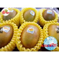 ราคา Guava top1กีวี่ทอง KIWI Zespri SunGold (1ลูก) (NewZealand) ~ลดพิเศษ~ Premium ผลไม้พรีเมี่ยม กีวีสด กีวีสีทอง (11588761444)