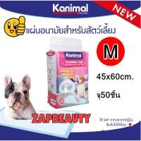 ราคา KANIMAL แผ่นรองซับ สัตว์เลี้ยง ขนาด M 45x60ซม.-40ชิ้น (คานิมอล แผ่นรองซับฉี่สัตว์เลี้ยง แผ่นรองซับฉี่สุนัข) (27341792097)